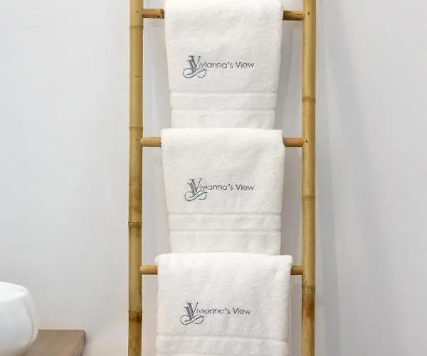 Vivianna's View 公寓 阿佐里姆诺斯