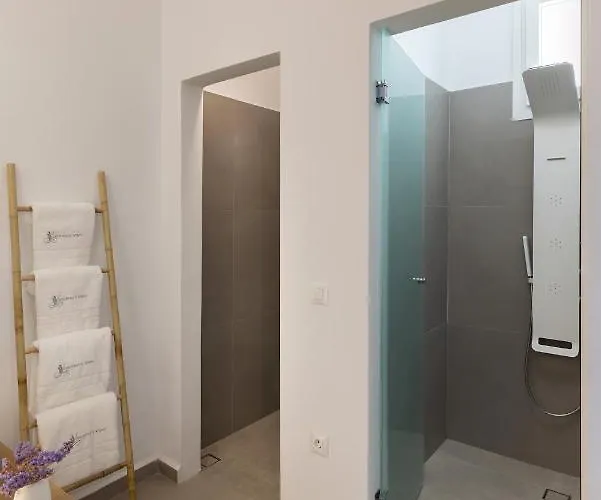 Vivianna's View 公寓 阿佐里姆诺斯